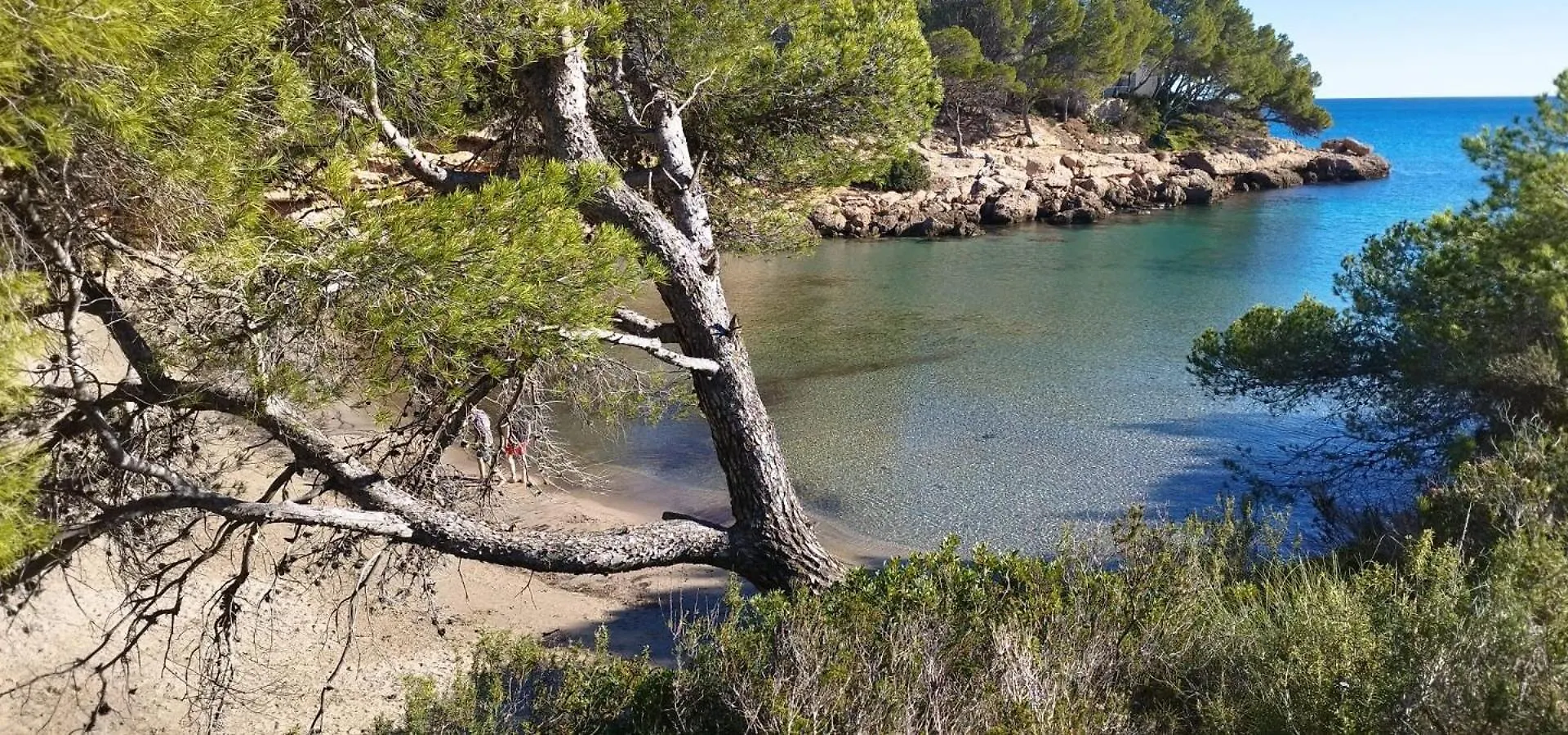 Casa Calafat Daire